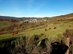 DSCN1453 DSCN1453