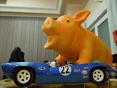 CE2013_ 013 CE2013_ 013