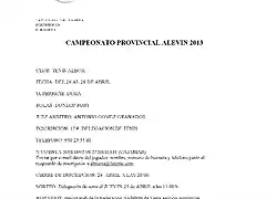 Campeonato provincial de alevines en albox