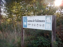 DSCN9456 DSCN9456