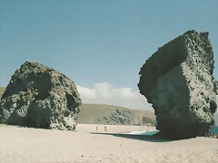 03