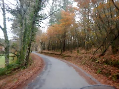 DSCN3085 DSCN3085