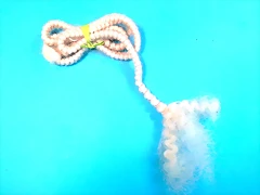 20170703_032716