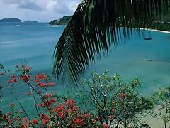 Friendship Bay, Bequia Island, St. Vincent Friendship Bay, Bequia Island, St. Vincent