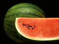 fruit1600005 fruit1600005