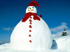 Frosty\'s Cousin Frosty\'s Cousin