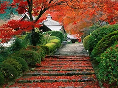 Garden Staircase, Kyoto, Japan Garden Staircase, Kyoto, Japan