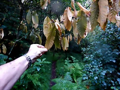DSCN8456 DSCN8456