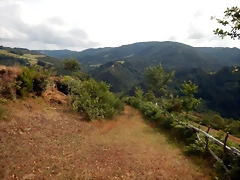 DSCN4389 DSCN4389