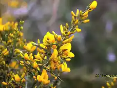 38, anuncio de primavera, marca6