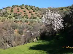 009, la ruta del Hondillo, marca