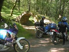 DSCN6517