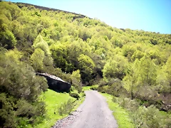 DSCN8525 DSCN8525
