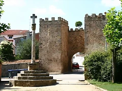 Manzanera[1]