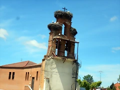 DSCN2186 DSCN2186