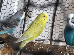 20180202_162953