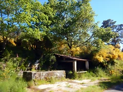 DSCN2145 DSCN2145