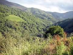 DSCN4284 DSCN4284