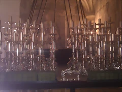 IMAG0231
