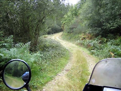 IMG_0246 IMG_0246
