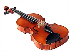 Viola