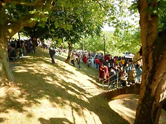 DSCN3959 DSCN3959
