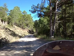 34
