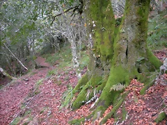 DSCN0674 DSCN0674