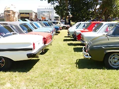 P1070867 P1070867