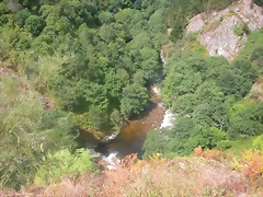 DSCN2509 DSCN2509