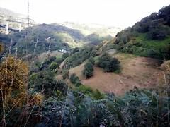 DSCN9232 DSCN9232