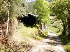 DSCN4540 DSCN4540