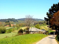 DSCN4938 DSCN4938