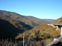 DSCN6721 DSCN6721