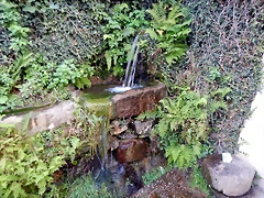 DSCN7246 DSCN7246