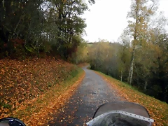 DSCN2668 DSCN2668