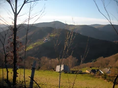 DSCN3023'5 DSCN3023'5