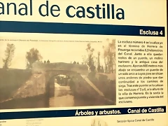 DSCN9545 DSCN9545