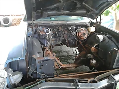 vano motor