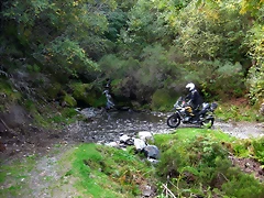 IMG_0445.5 IMG_0445.5
