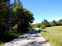 DSCN2317 DSCN2317