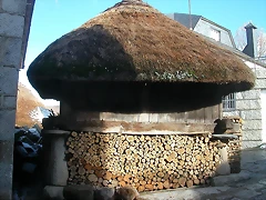DSCN4864 DSCN4864
