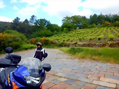 DSCN5235 DSCN5235