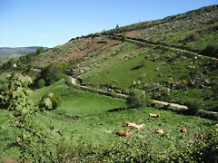 DSCF2484 DSCF2484