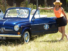 P1070803 P1070803