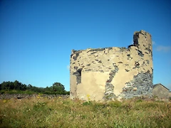 DSCN6862 DSCN6862