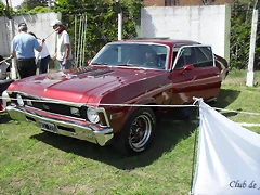SDC10435 SDC10435