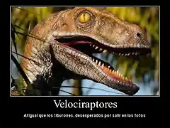 velocirraptorv