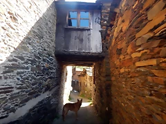 DSCN7796 DSCN7796