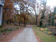 DSCN0744 DSCN0744